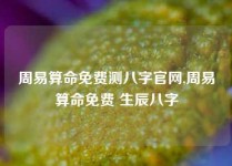 周易算命免费测八字官网,周易算命免费 生辰八字