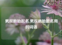 男双胞胎起名,男双胞胎起名用的词语