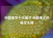 中国易学十大骗子,中国真正的易学大师