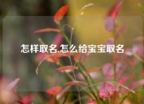 怎样取名,怎么给宝宝取名