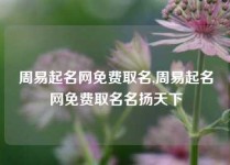 周易起名网免费取名,周易起名网免费取名名扬天下