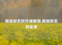 周易取名软件破解版,周易取名网免费