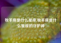 牧羊座是什么星座,牧羊座是什么星座的守护神