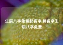 生辰八字免费起名字,算名字生辰八字免费