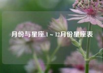 月份与星座,1～12月份星座表