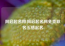 阿启起名网,阿启起名网免费取名五格起名