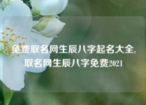 免费取名网生辰八字起名大全,取名网生辰八字免费2021