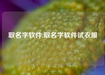 取名字软件,取名字软件试衣服