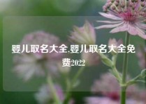 婴儿取名大全,婴儿取名大全免费2022