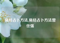 易经占卜方法,易经占卜方法曾仕强