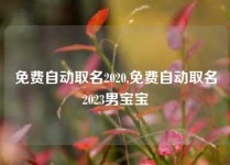 免费自动取名2020,免费自动取名2023男宝宝