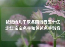 爸爸给儿子取名因谐音五十亿走红,宝宝名字和爸爸名字谐音