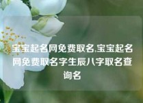 宝宝起名网免费取名,宝宝起名网免费取名字生辰八字取名查询名