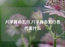 八字算命五行,八字算命五行各代表什么