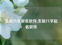 生辰八字取名软件,生辰八字起名软件