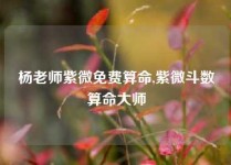 杨老师紫微免费算命,紫微斗数算命大师