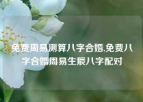 免费周易测算八字合婚,免费八字合婚周易生辰八字配对