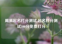 周易起名打分测试,起名打分测试100分免费打分