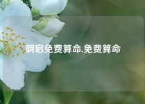 啊启免费算命,免费算命