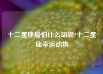 十二星座最怕什么动物?十二星座幸运动物