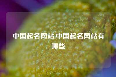 中国起名网站,中国起名网站有哪些