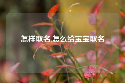 怎样取名,怎么给宝宝取名