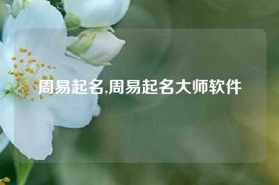 周易起名,周易起名大师软件