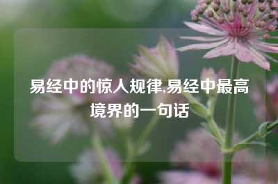 易经中的惊人规律,易经中最高境界的一句话