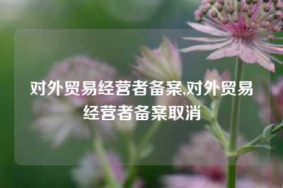 对外贸易经营者备案,对外贸易经营者备案取消