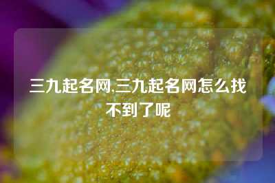 三九起名网,三九起名网怎么找不到了呢