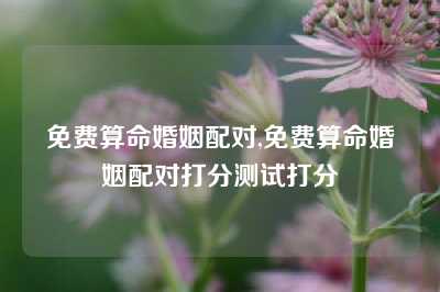 免费算命婚姻配对,免费算命婚姻配对打分测试打分