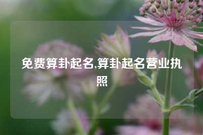 免费算卦起名,算卦起名营业执照