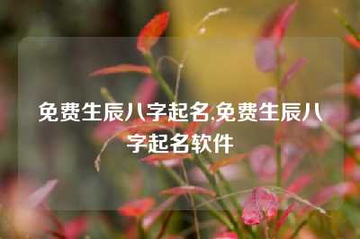 免费生辰八字起名,免费生辰八字起名软件