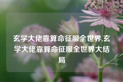 玄学大佬靠算命征服全世界,玄学大佬靠算命征服全世界大结局