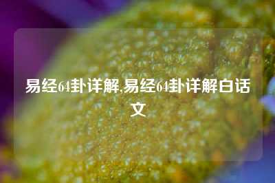 易经64卦详解,易经64卦详解白话文