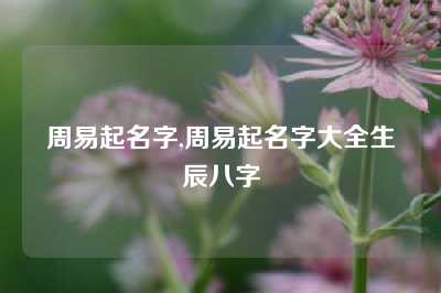 周易起名字,周易起名字大全生辰八字