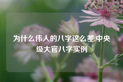 为什么伟人的八字这么差,中央级大官八字实例