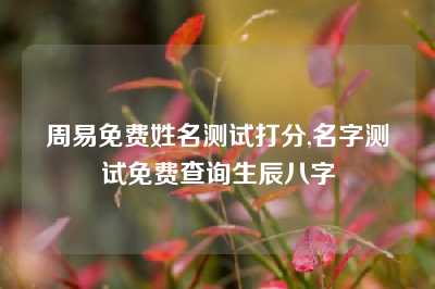 周易免费姓名测试打分,名字测试免费查询生辰八字