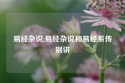 易经杂说,易经杂说和易经系传别讲