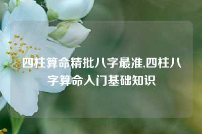 四柱算命精批八字最准,四柱八字算命入门基础知识