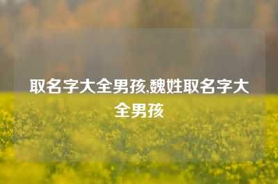 取名字大全男孩,魏姓取名字大全男孩