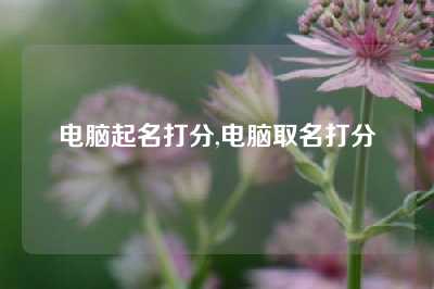 电脑起名打分,电脑取名打分