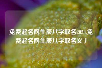 免费起名网生辰八字取名2023,免费起名网生辰八字取名义丿