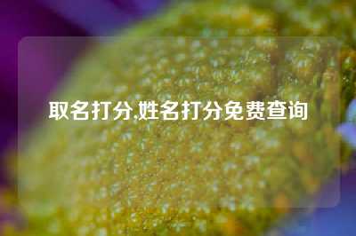 取名打分,姓名打分免费查询