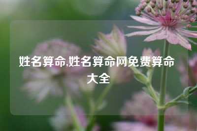 姓名算命,姓名算命网免费算命 大全