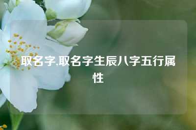 取名字,取名字生辰八字五行属性