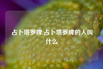 占卜塔罗牌,占卜塔罗牌的人叫什么