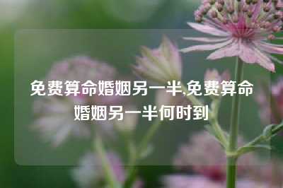 免费算命婚姻另一半,免费算命婚姻另一半何时到