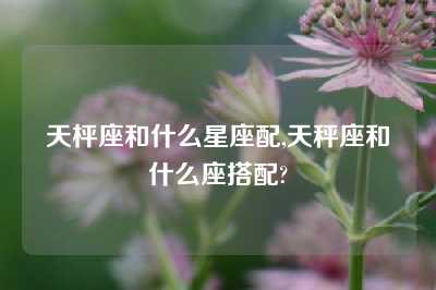 天枰座和什么星座配,天秤座和什么座搭配?