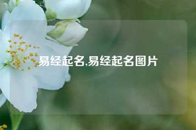 易经起名,易经起名图片